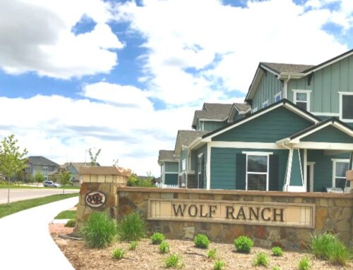 Neighborhood Spotlight: Wolf Ranch